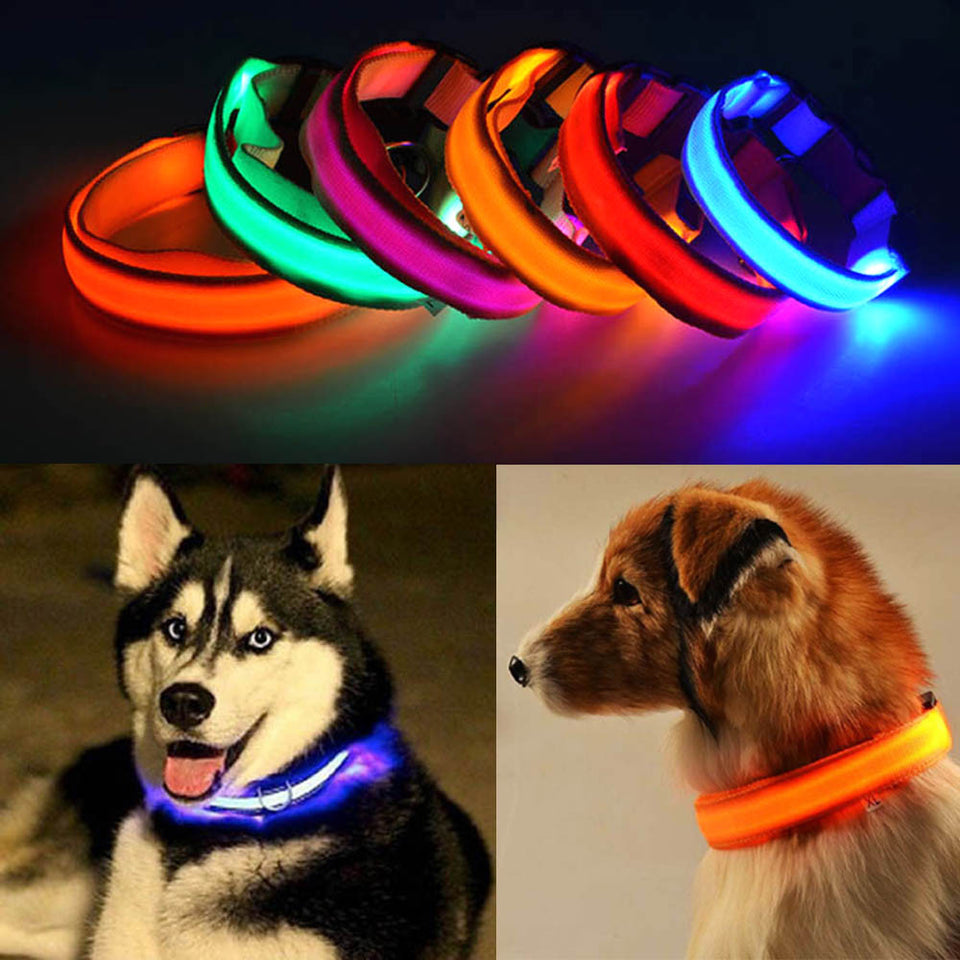 LED DOGS Collars
