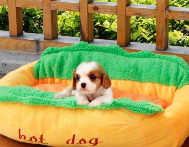 Hot Dog Doggy Bed